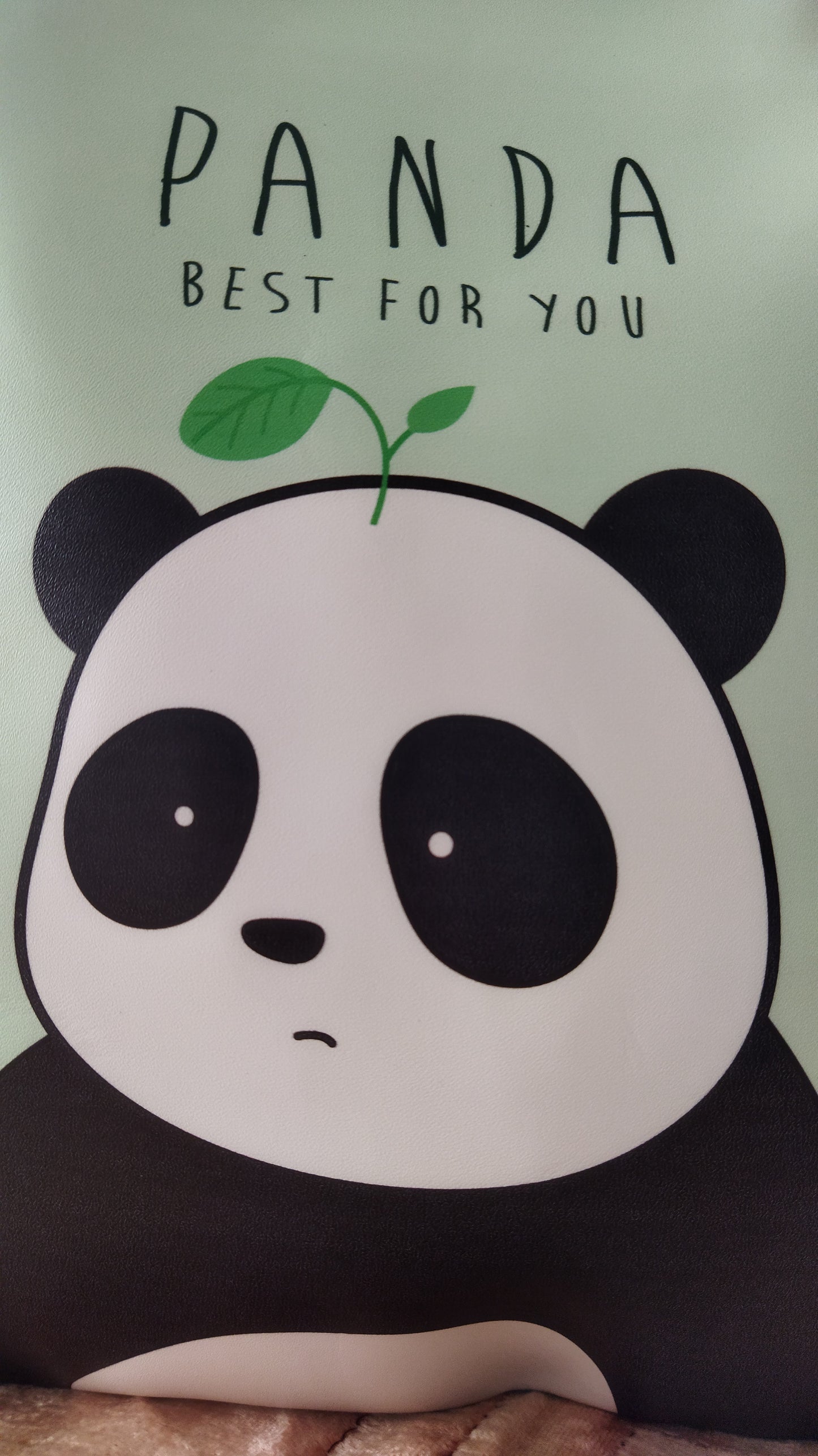 Bolso pvc impermeable osito panda